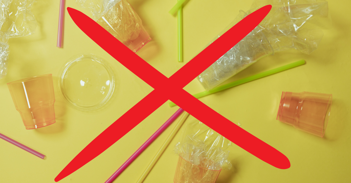 Hay!Straws; la alternativa ecológica y sostenible a las pajitas de plástico  - StrawZ
