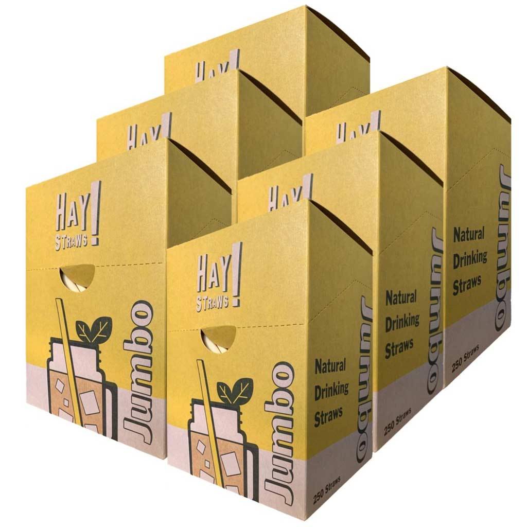 Natuurlijke biologische smoothie rietjes 250 box -1500